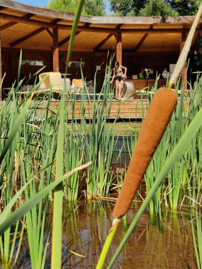 L'Etang Des Cigales Uchaux Exterior foto